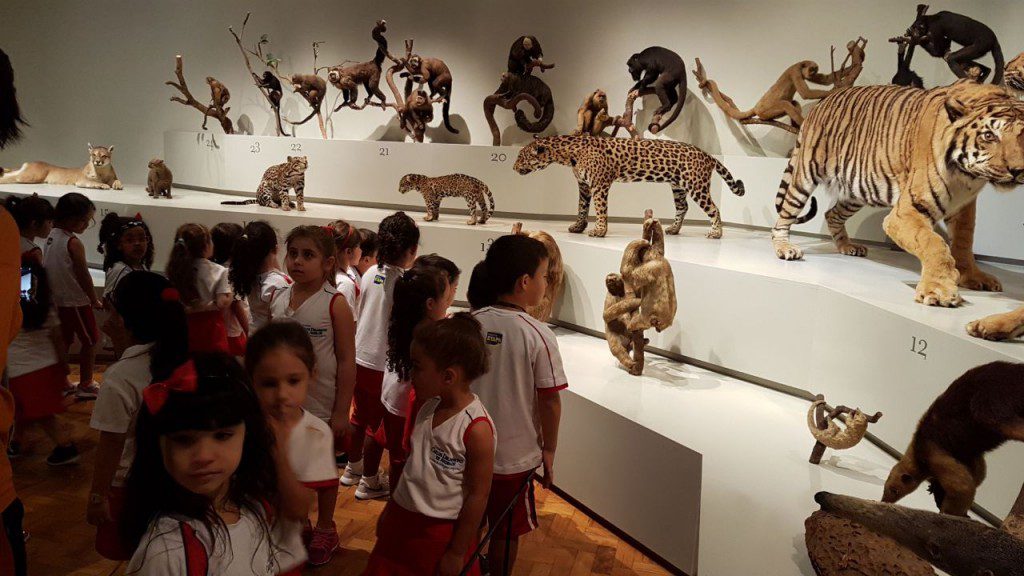 MUSEU DE ZOOLOGIA DA USP CCDA Colégio Carlos Drummond de Andrade MUSEU DE ZOOLOGIA DA USP CCDA Colégio Carlos Drummond de Andrade