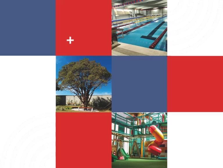 grafic0002-portal-do-aluno